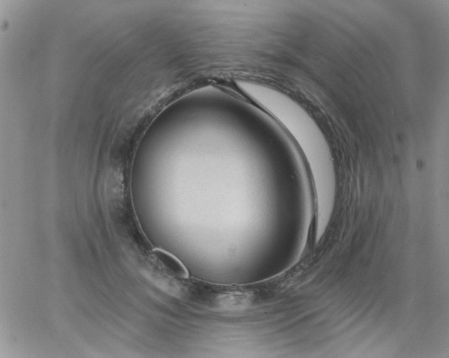 X0000065970700200603172050