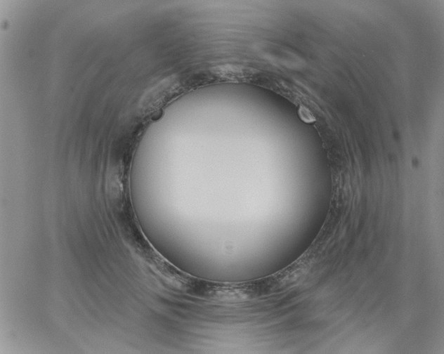 X0000065970702200603172050