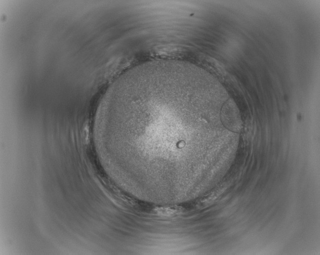 X0000065970703200603172050