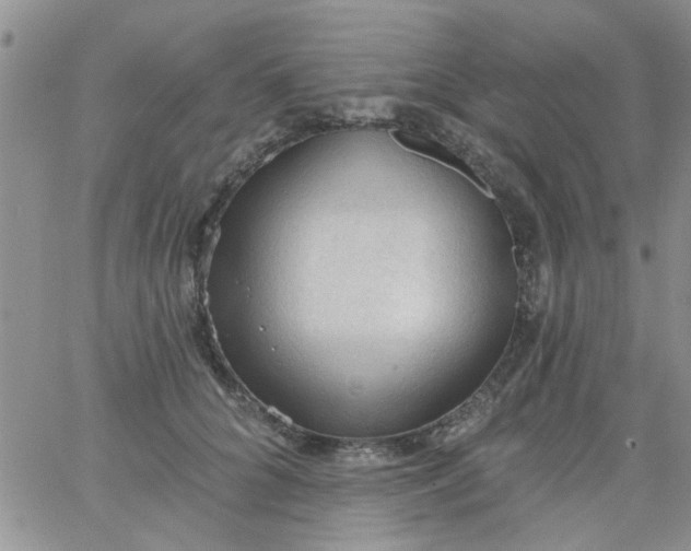 X0000065970704200603172050