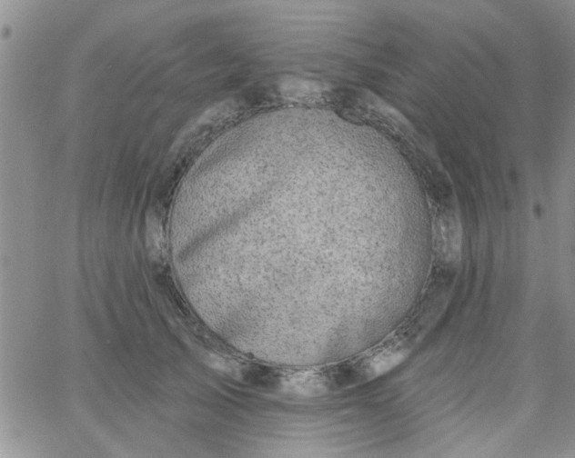 X0000065970705200603172050