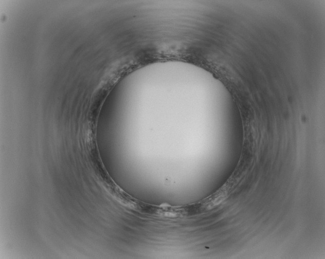 X0000065970706200603172050