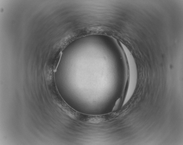 X0000065970708200603172050