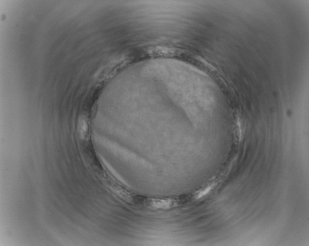 X0000065970709200603172050