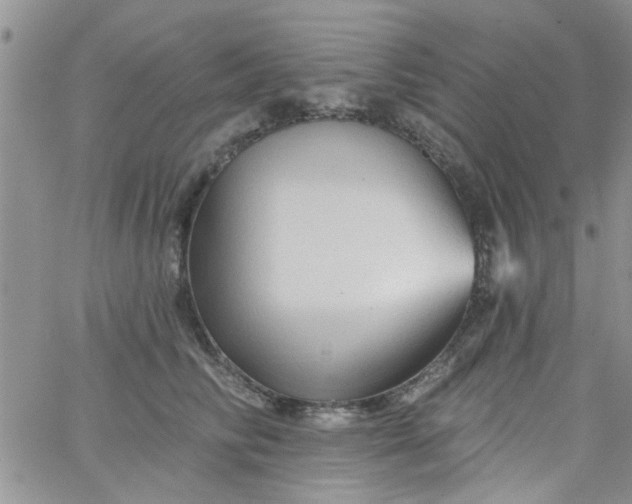 X0000065970710200603172050