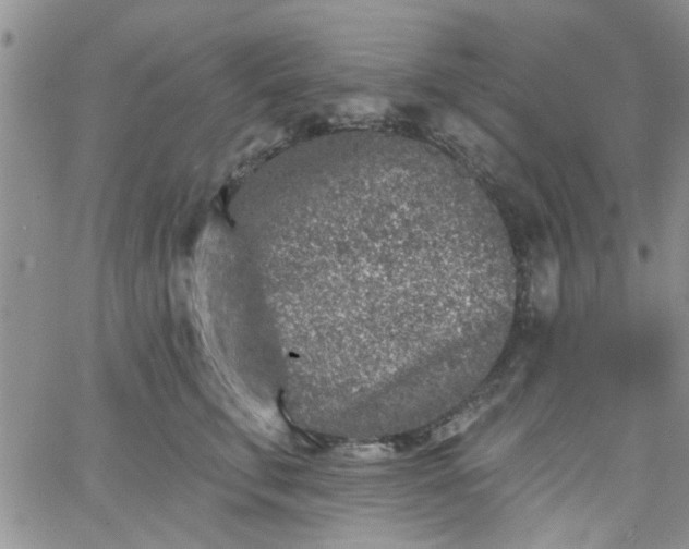 X0000065970711200603172050