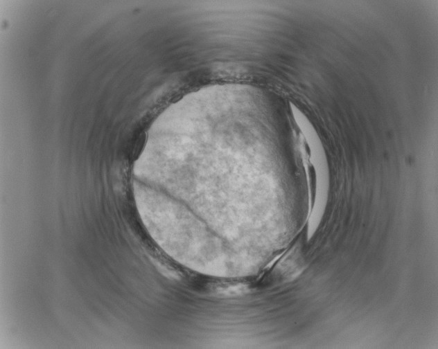 X0000065970712200603172050