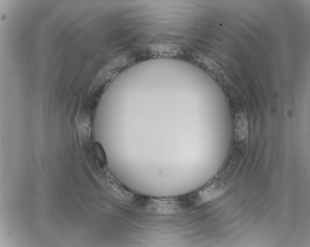 X0000065970713200603172050