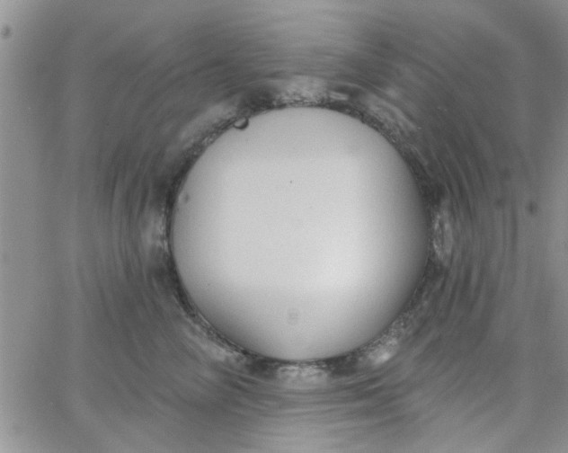 X0000065970714200603172050