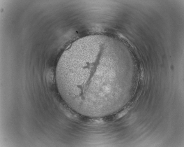 X0000065970715200603172050