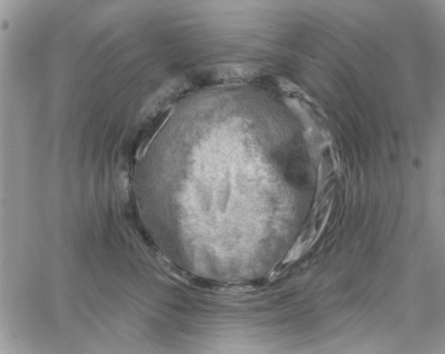 X0000065970716200603172050