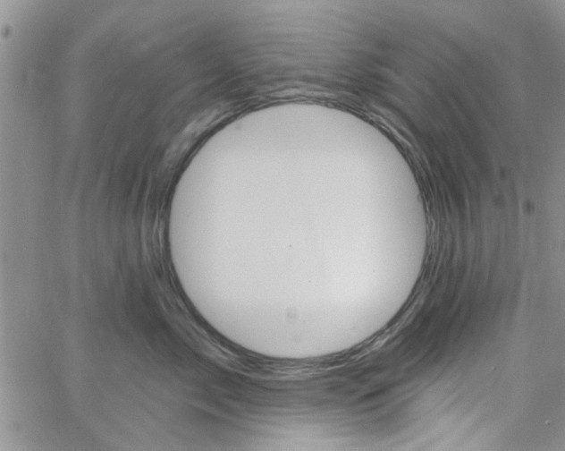 X0000065970717200603172050