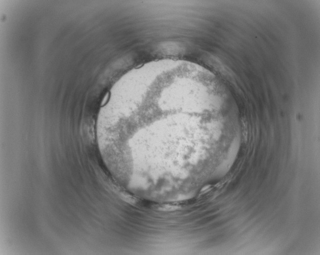 X0000065970718200603172050