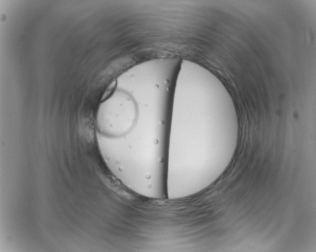 X0000065970719200603172050