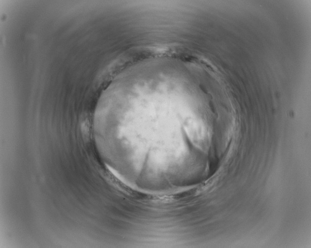 X0000065970720200603172050