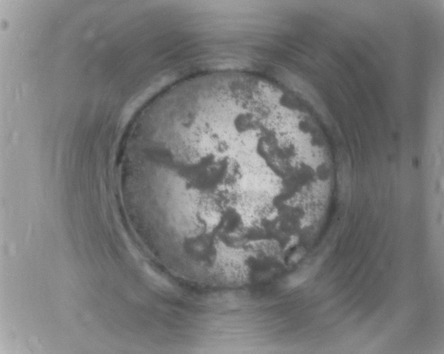 X0000065970721200603172049