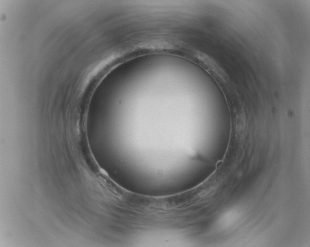 X0000065970727200603172049