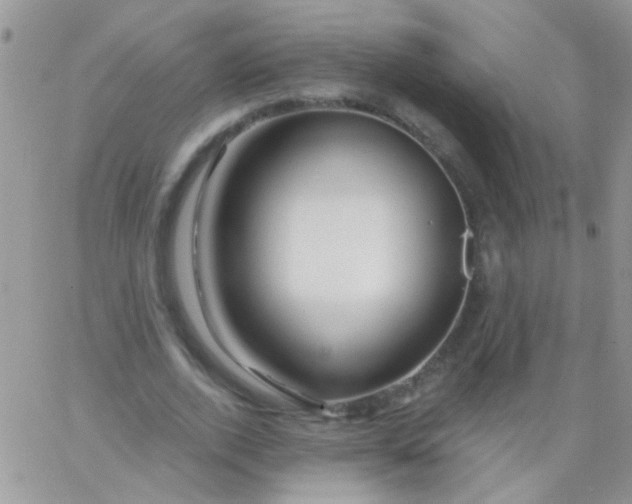 X0000065970728200603172049