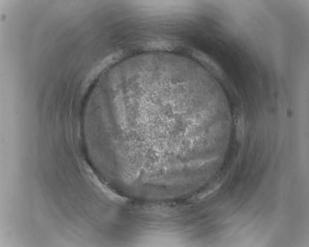 X0000065970729200603172049