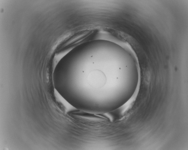 X0000065970731200603172049