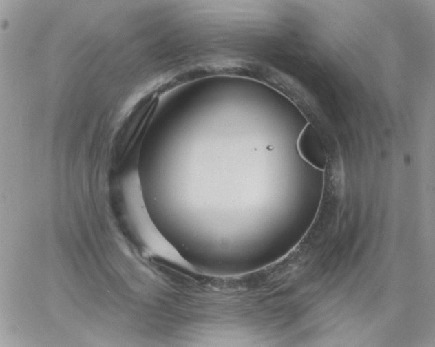 X0000065970732200603172049