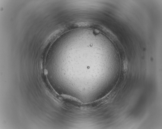 X0000065970733200603172049