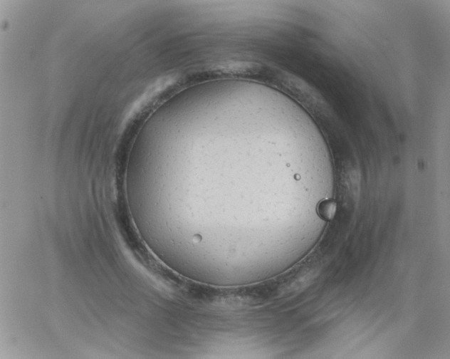 X0000065970734200603172049