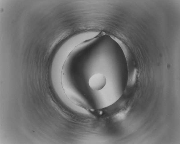 X0000065970735200603172049