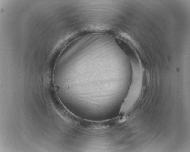 X0000065970736200603172049