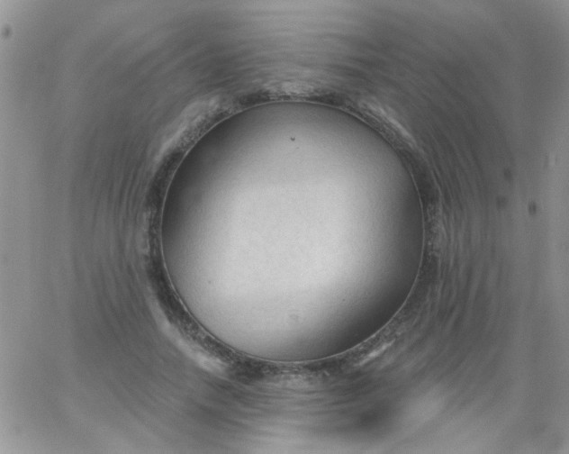 X0000065970738200603172049