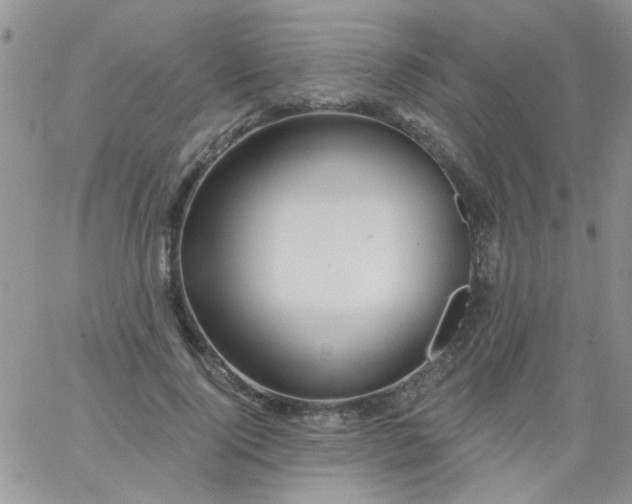 X0000065970740200603172049