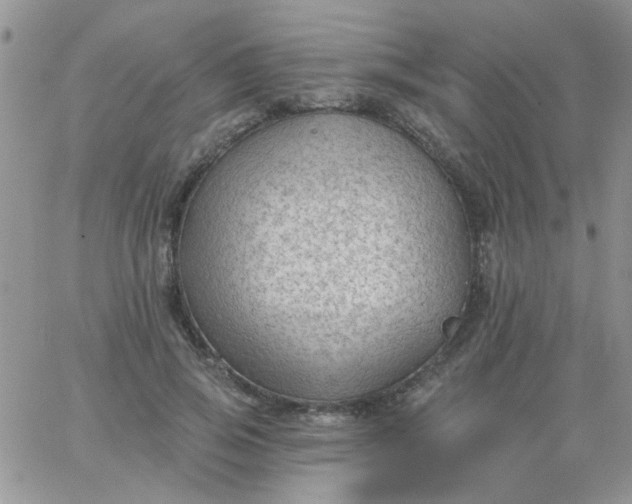 X0000065970741200603172049