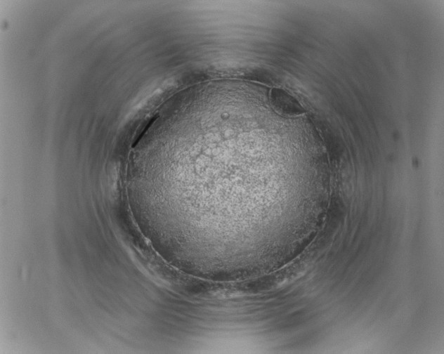 X0000065970742200603172049