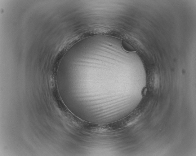 X0000065970743200603172049