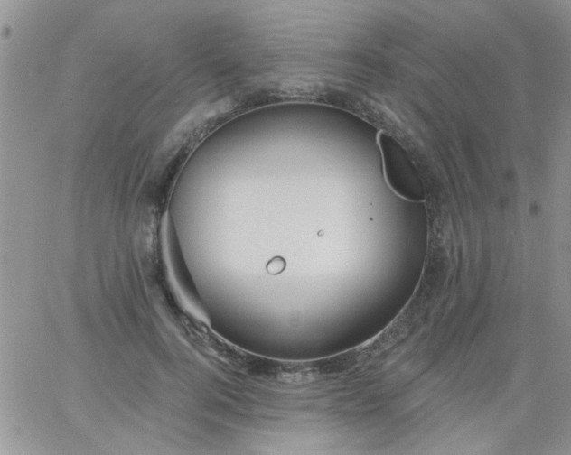 X0000065970744200603172049