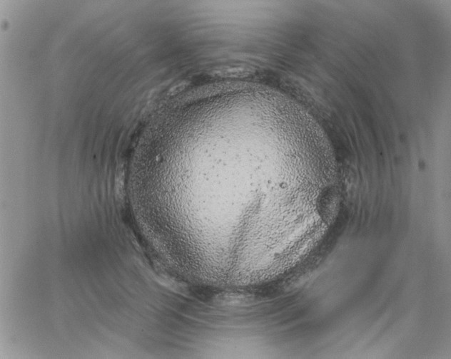 X0000065970745200603172049