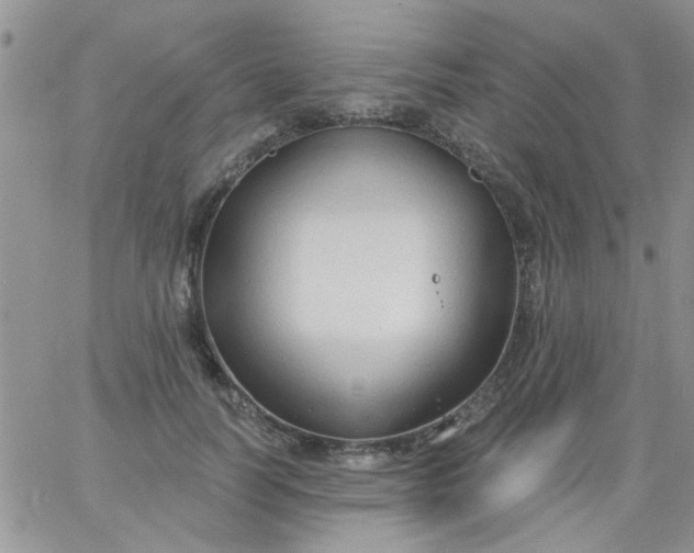 X0000065970746200603172049