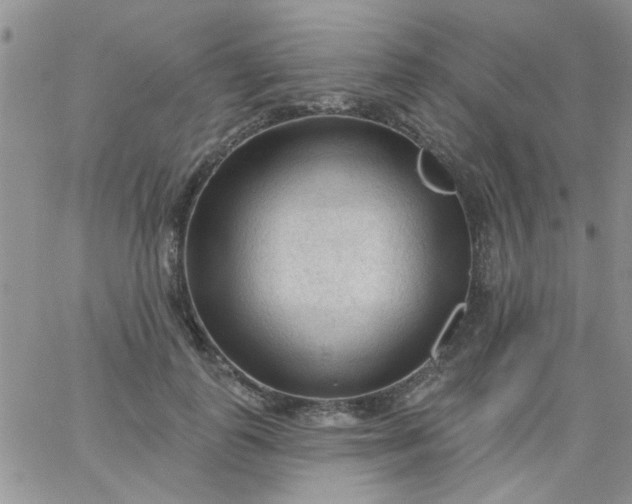 X0000065970747200603172050