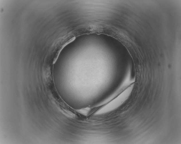 X0000065970748200603172050