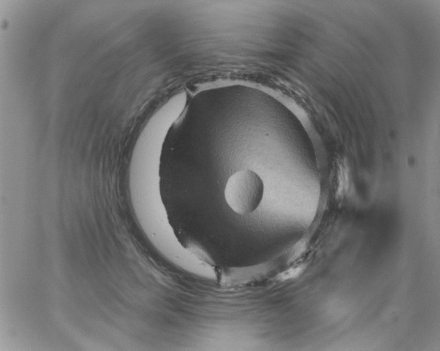 X0000065970750200603172050