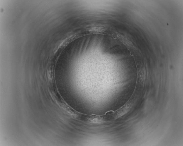 X0000065970755200603172050