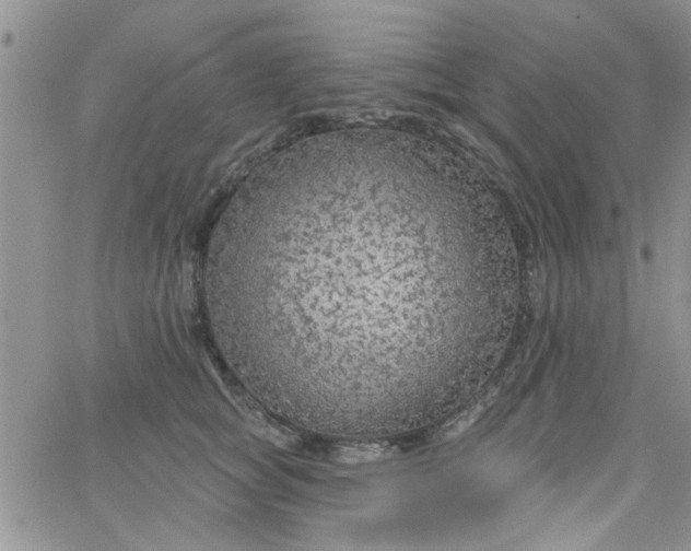 X0000065970757200603172050