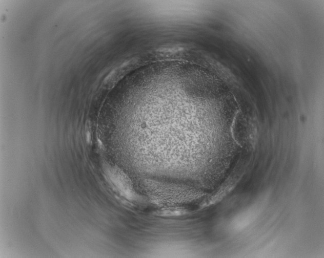 X0000065970758200603172050