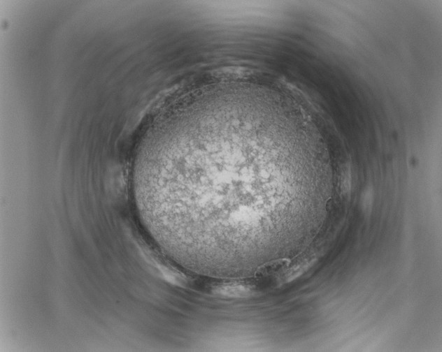 X0000065970759200603172050