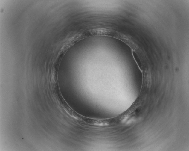 X0000065970760200603172050