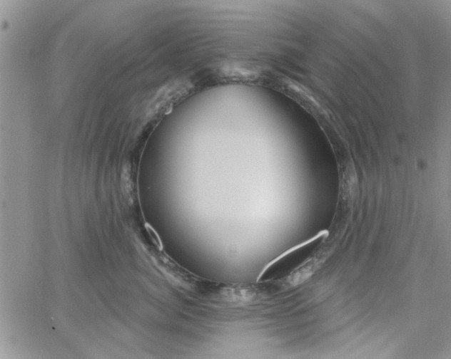 X0000065970764200603172050