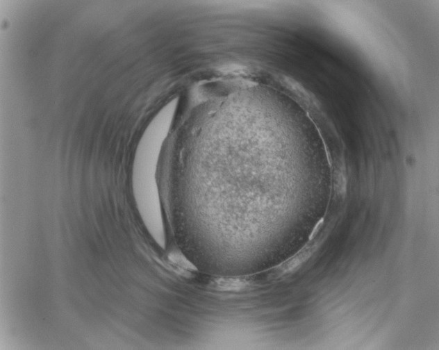 X0000065970766200603172050