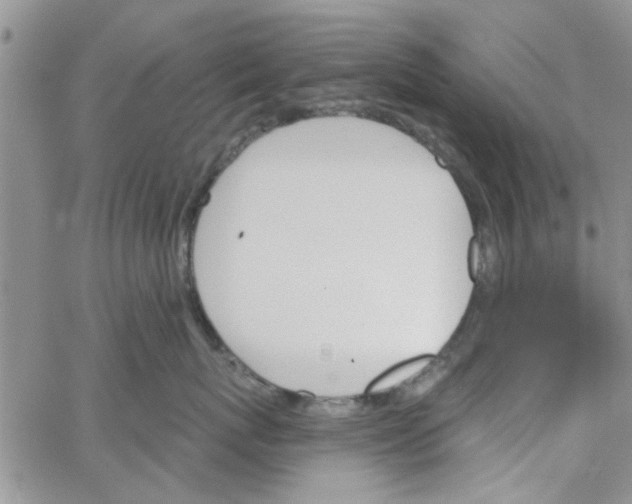 X0000065970767200603172050