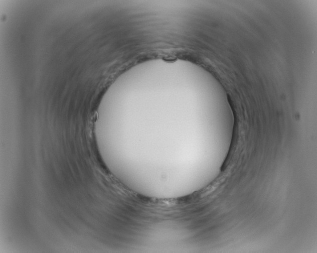 X0000065970768200603172050