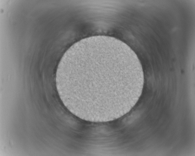 X0000065970769200603172049